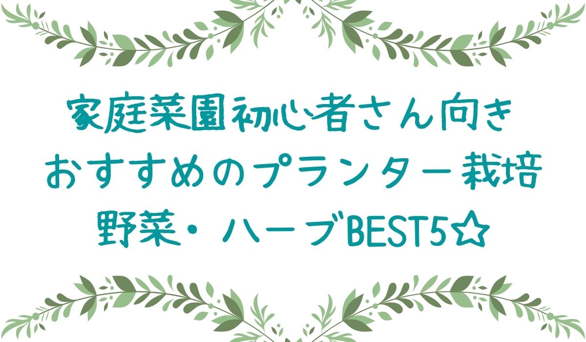 家庭菜園初心者向き 秋植えのプランター菜園におすすめの野菜ベスト5 観葉日和